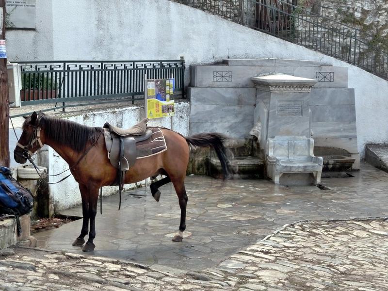 Horse next to the marble fountain at Aghios Lavrentios