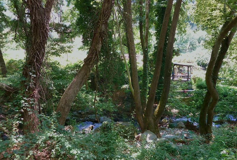 Ano Lechonia is full of waters and trees