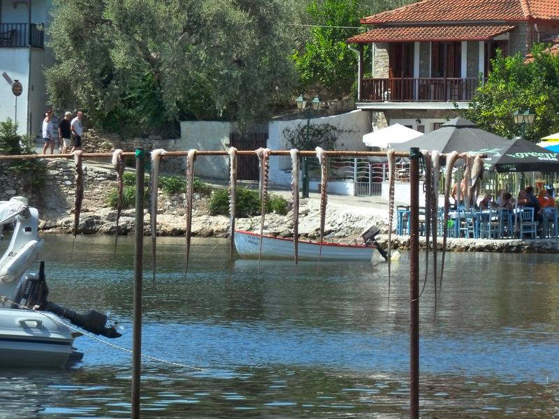 Φρέσκα χταπόδια κρεμασμένα πριν το μαγείρεμα για τους πελάτες