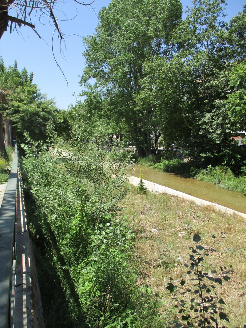 Krassidon river outside the Entomological Museum