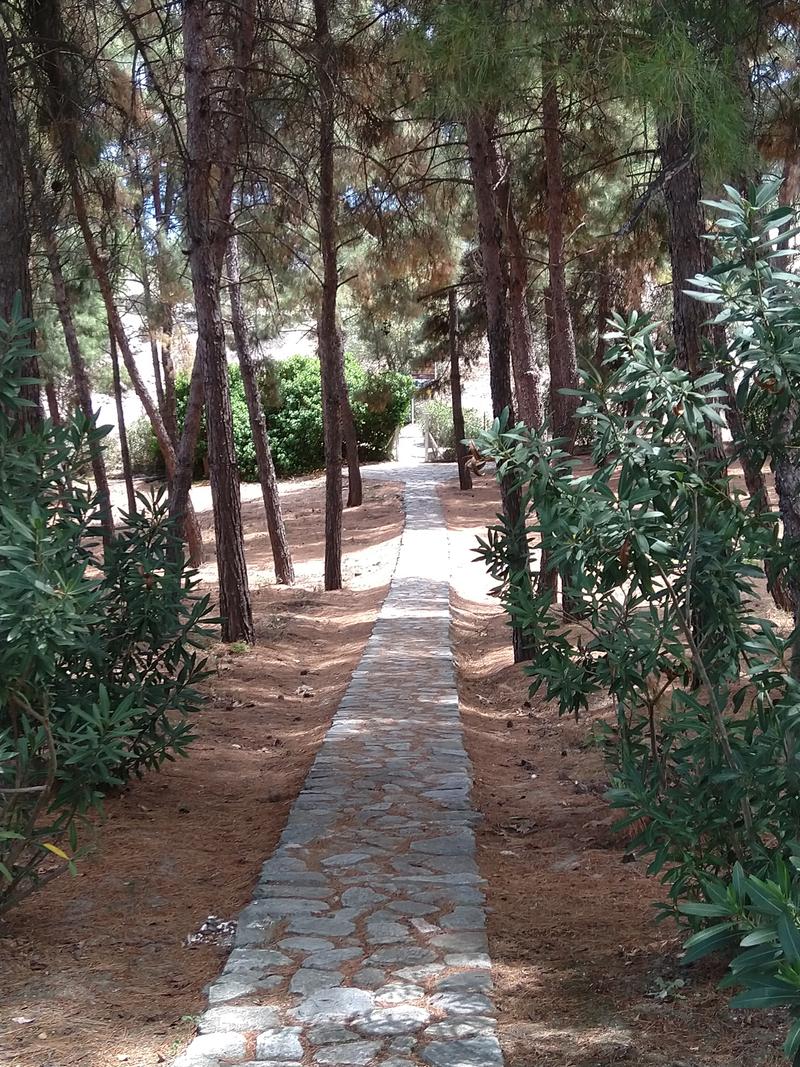 The verdant path that leads to the Neolithic settlement