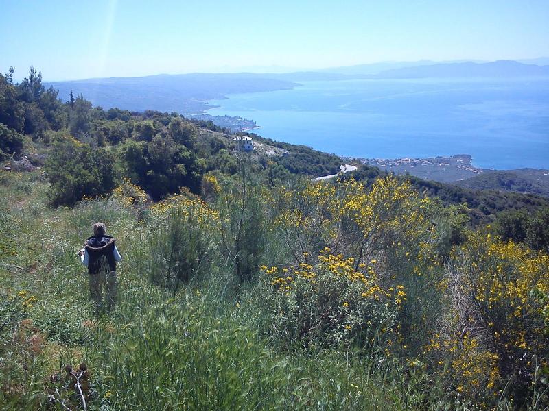 Προβεβλημένη φωτογραφία