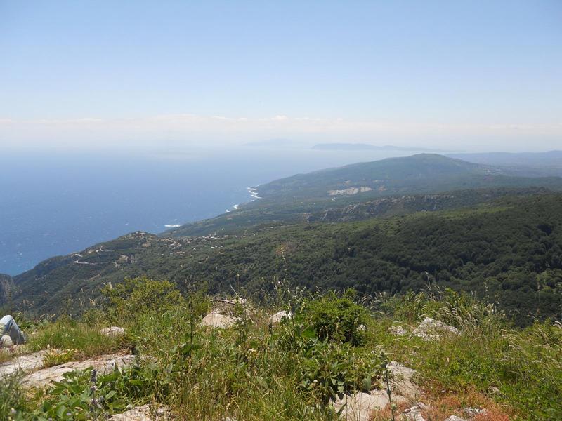 Προβεβλημένη φωτογραφία