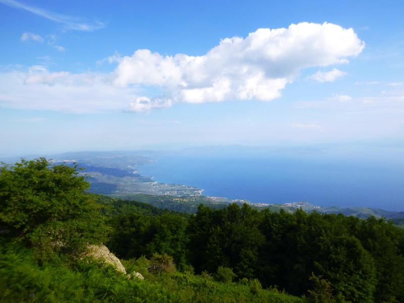 Προβεβλημένη φωτογραφία