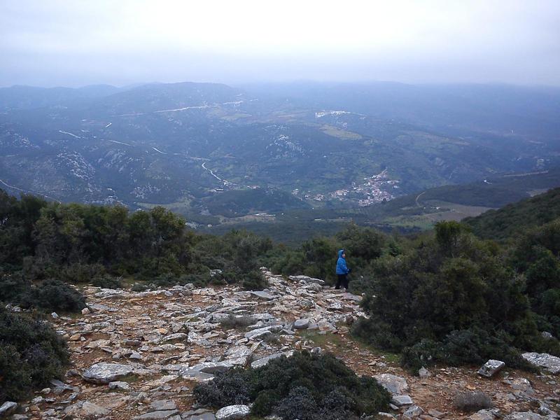 Προβεβλημένη φωτογραφία