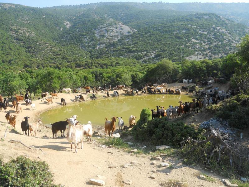 Προβεβλημένη φωτογραφία