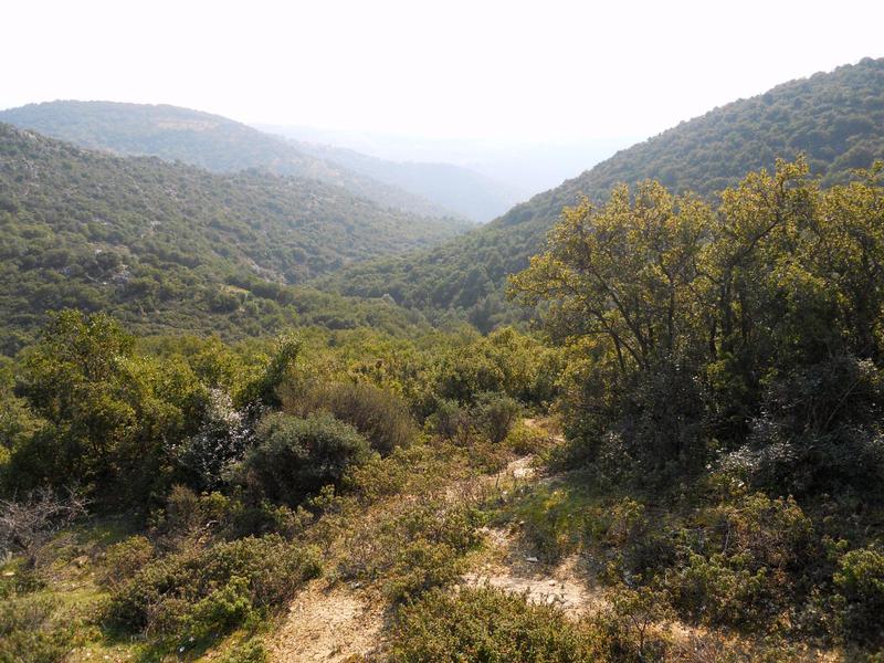 Προβεβλημένη φωτογραφία