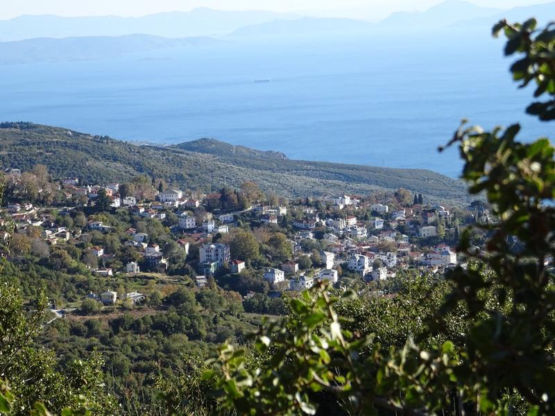 Προβεβλημένη φωτογραφία