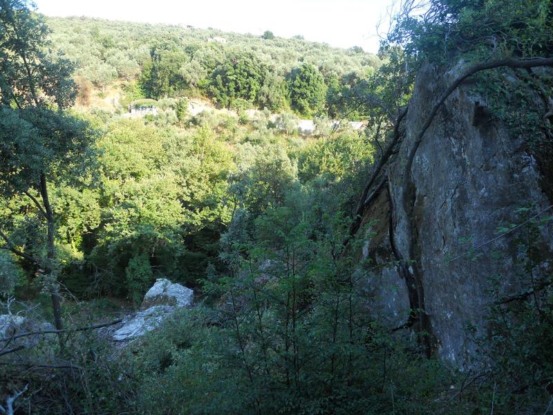 Προβεβλημένη φωτογραφία