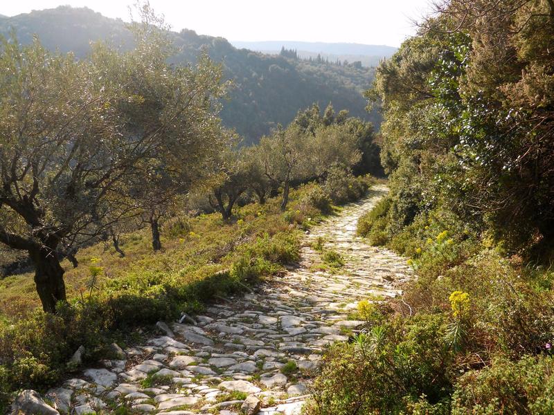 Προβεβλημένη φωτογραφία